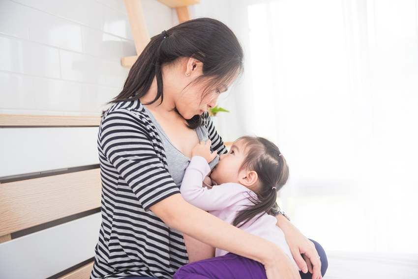Breastfeeding and Pregnancy