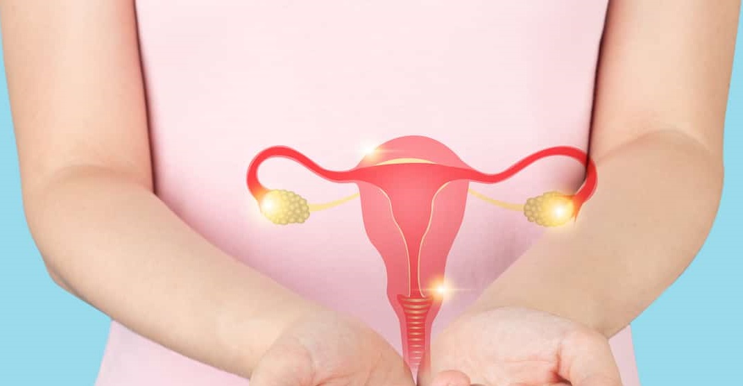 Adenomyosis and Endometriosis - What’s the Difference?