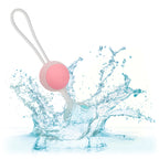 she-ology Interchangeable Kegel Set